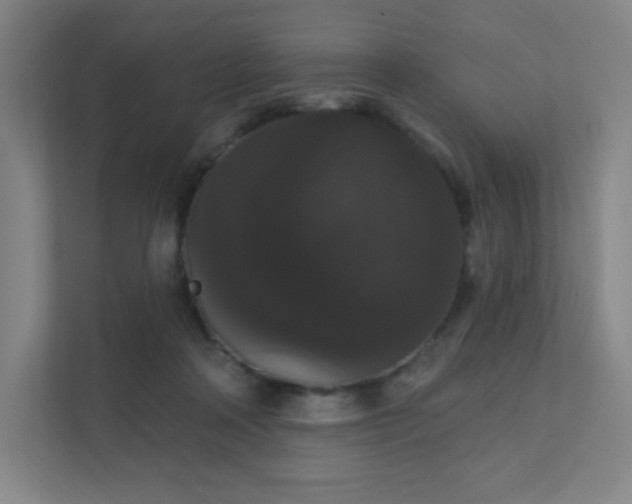 X0000111440314200907201134