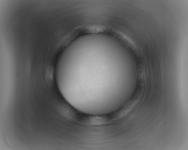 X0000111440315200907201134