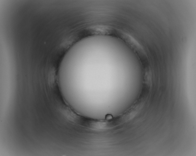 X0000111440318200907201134