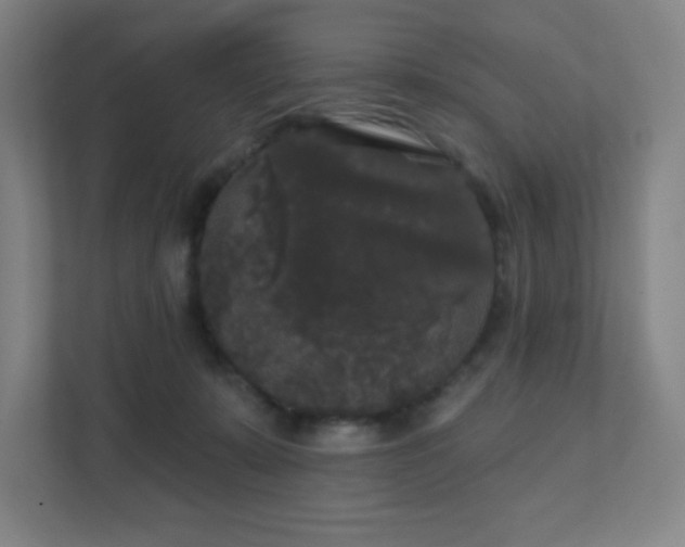 X0000111440319200907201134