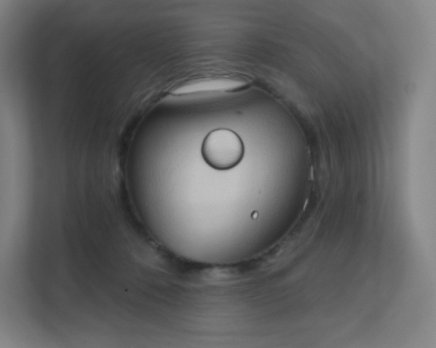 X0000111440320200907201134