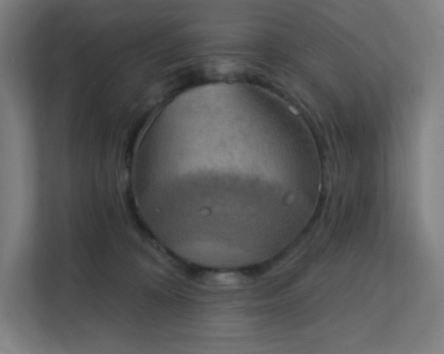 X0000111440324200907201134