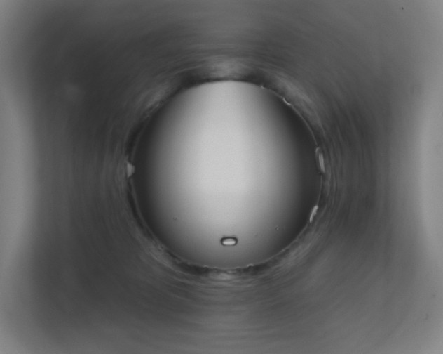 X0000111440325200907201134