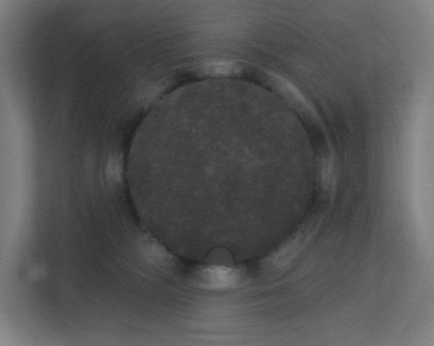 X0000111440326200907201134