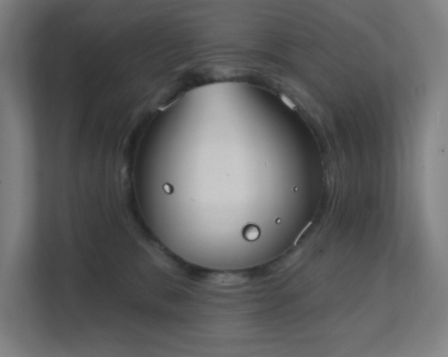 X0000111440327200907201134