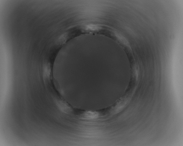 X0000111440328200907201134