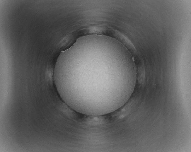 X0000111440329200907201134