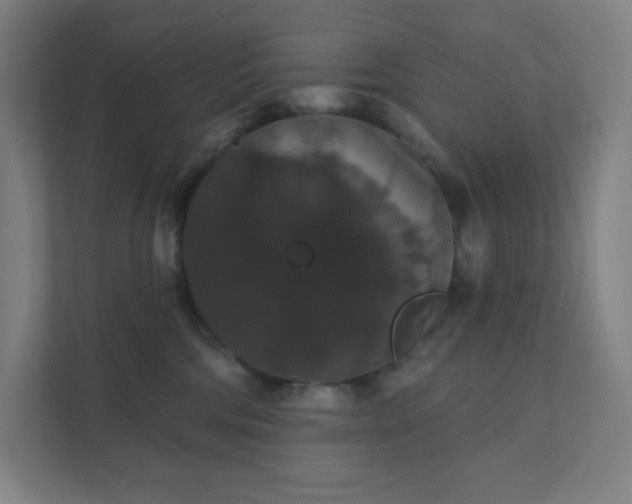 X0000111440330200907201134