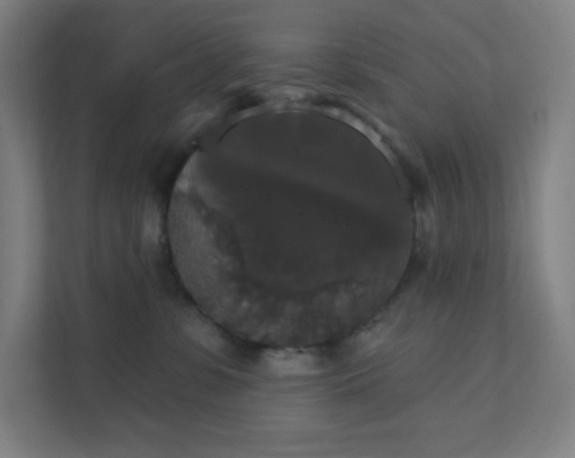 X0000111440331200907201134