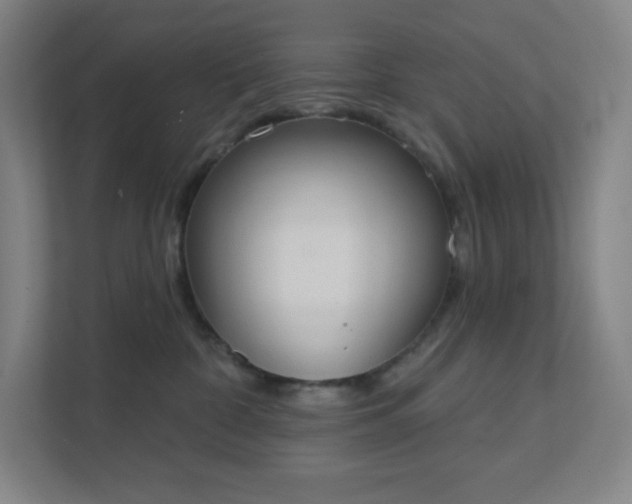 X0000111440332200907201134