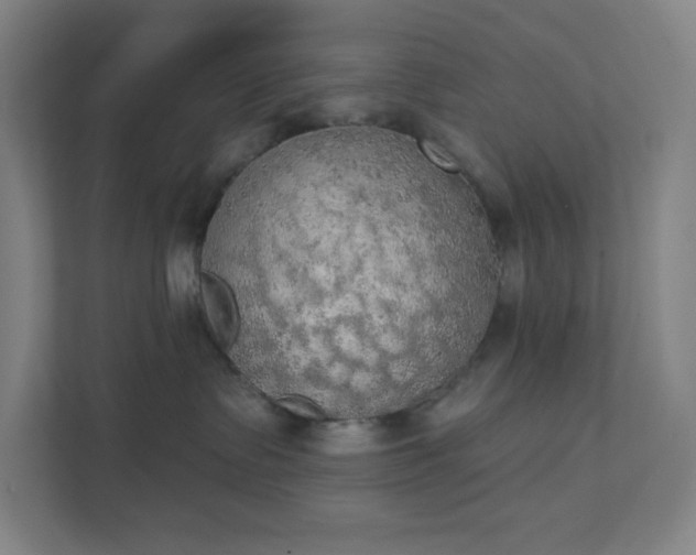 X0000111440335200907201134