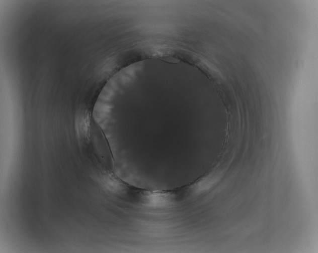 X0000111440336200907201134