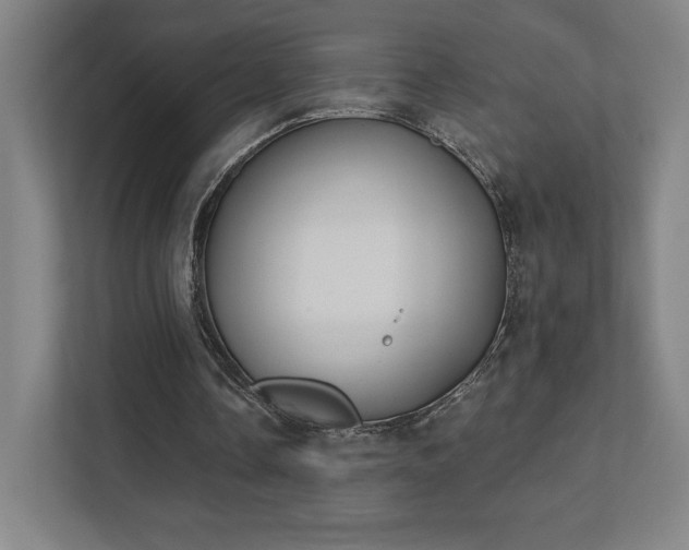 X0000111440338200907201133