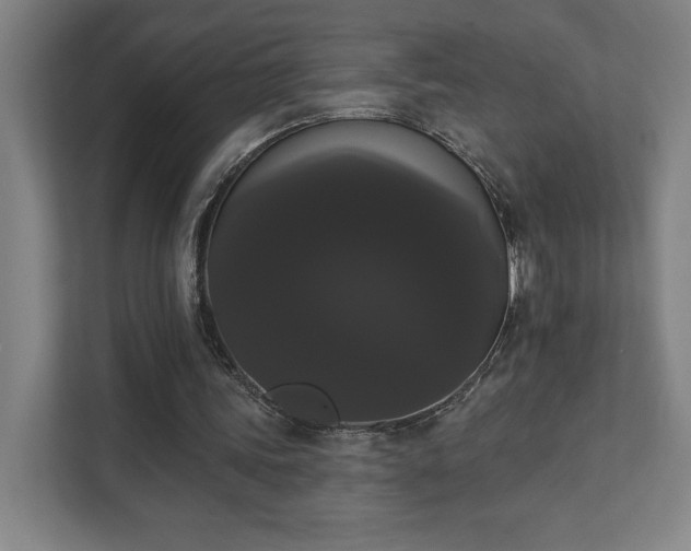 X0000111440339200907201133