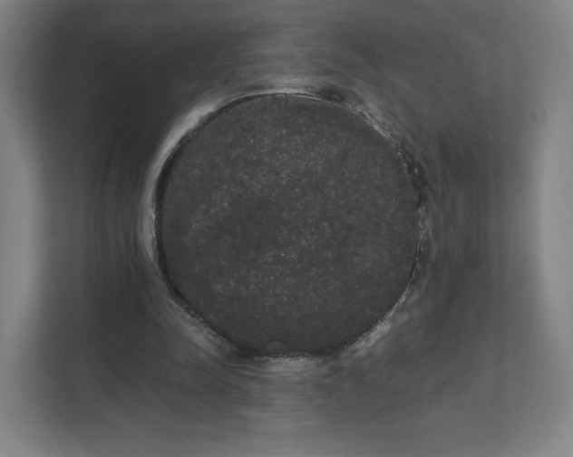 X0000111440342200907201133