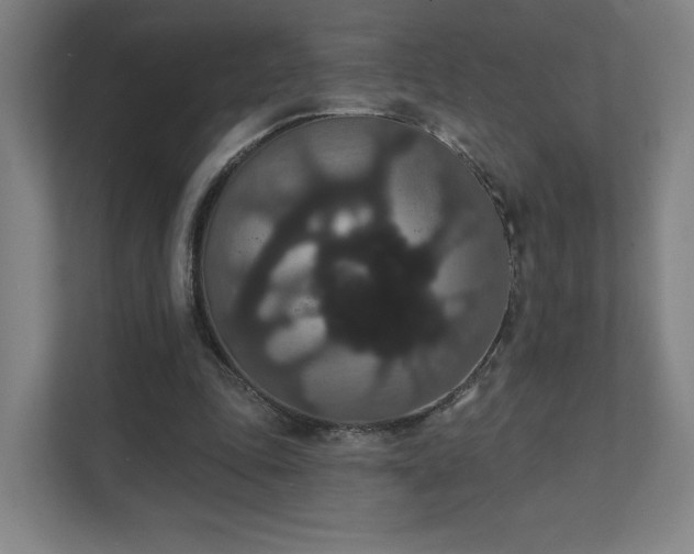 X0000111440343200907201133