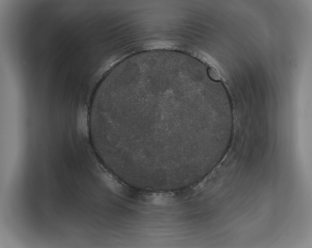 X0000111440345200907201133