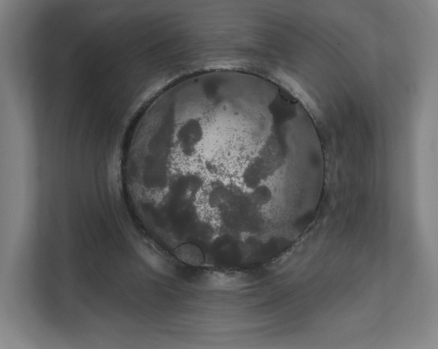 X0000111440346200907201133