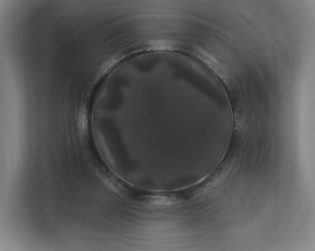 X0000111440347200907201133