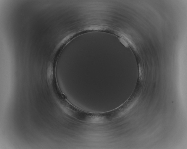 X0000111440348200907201133