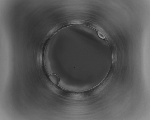 X0000111440349200907201133