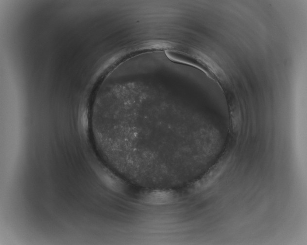 X0000111440350200907201133