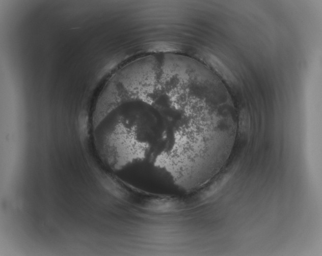 X0000111440351200907201133