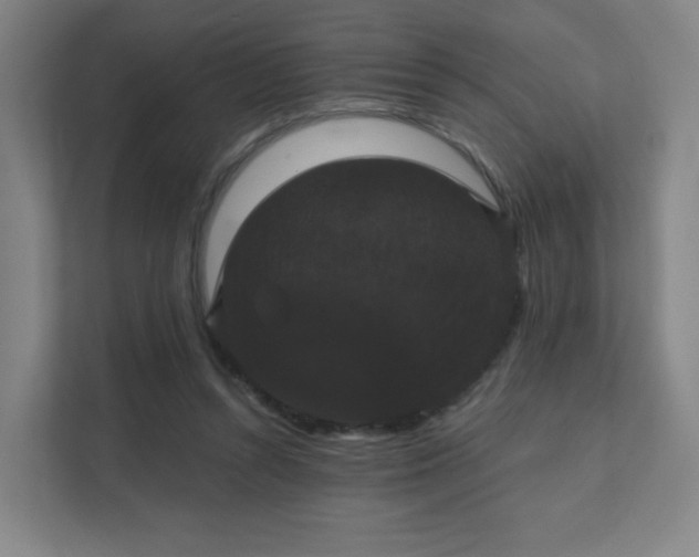 X0000111440352200907201133