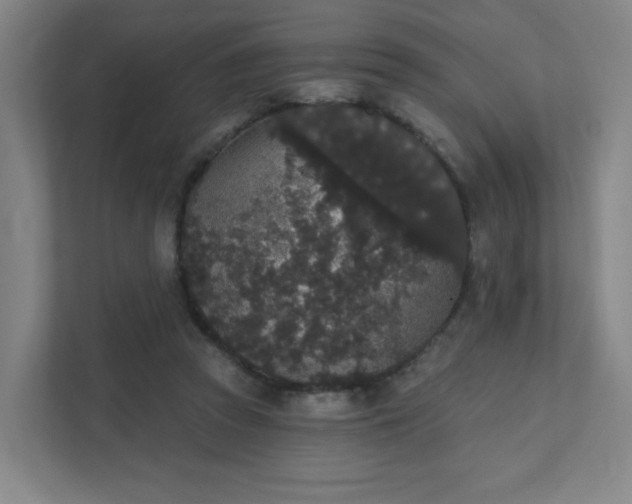 X0000111440353200907201133