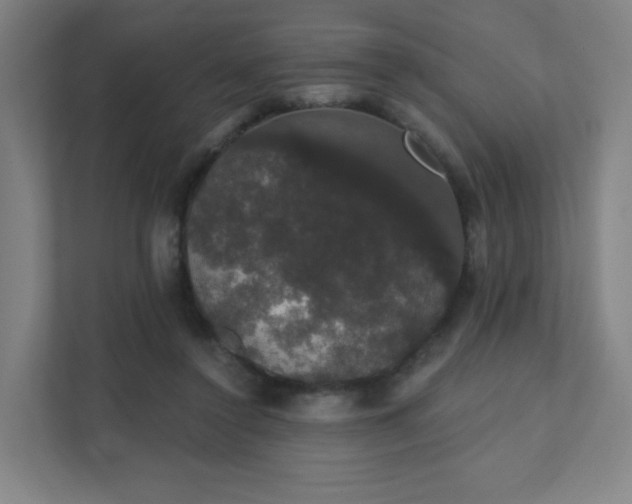 X0000111440356200907201133