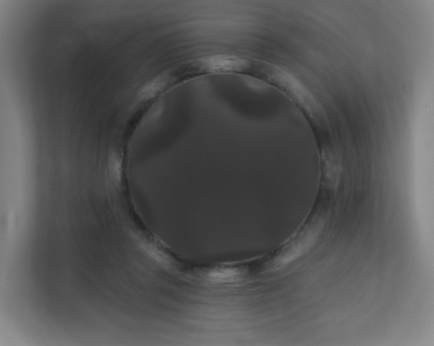 X0000111440357200907201133