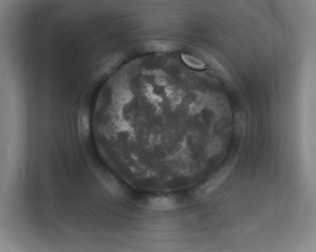 X0000111440358200907201133