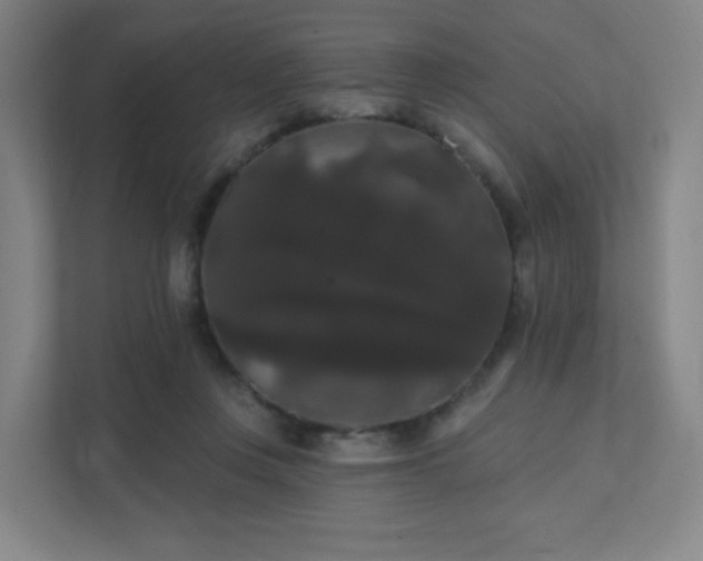 X0000111440359200907201133