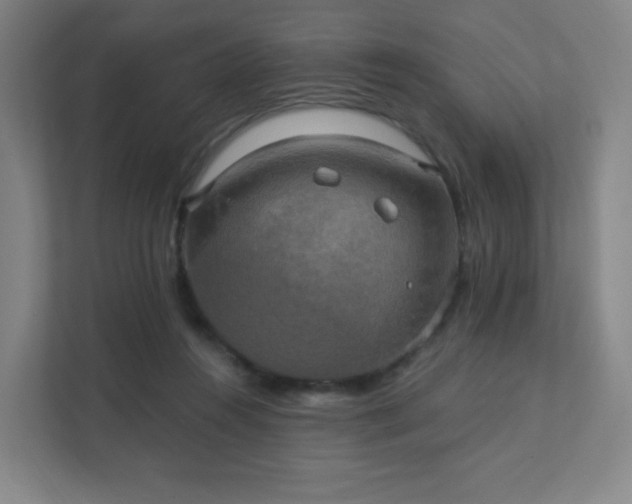 X0000111440360200907201133