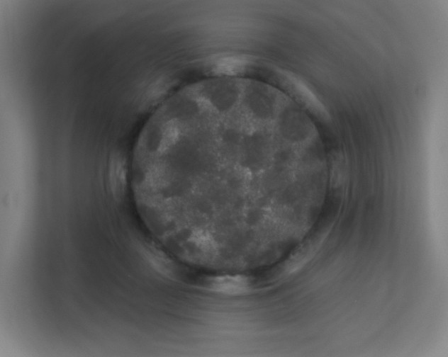 X0000111440363200907201133