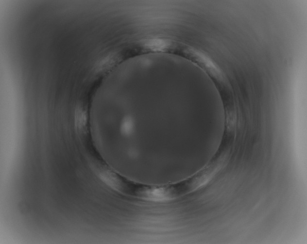 X0000111440365200907201133