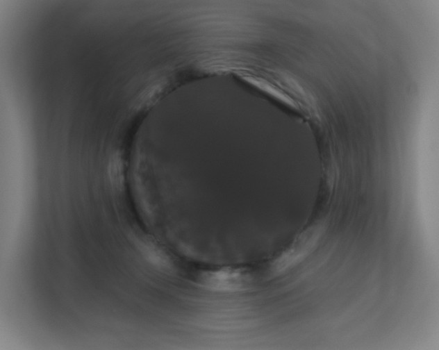 X0000111440366200907201133