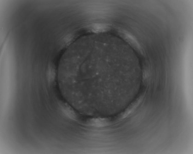 X0000111440367200907201133