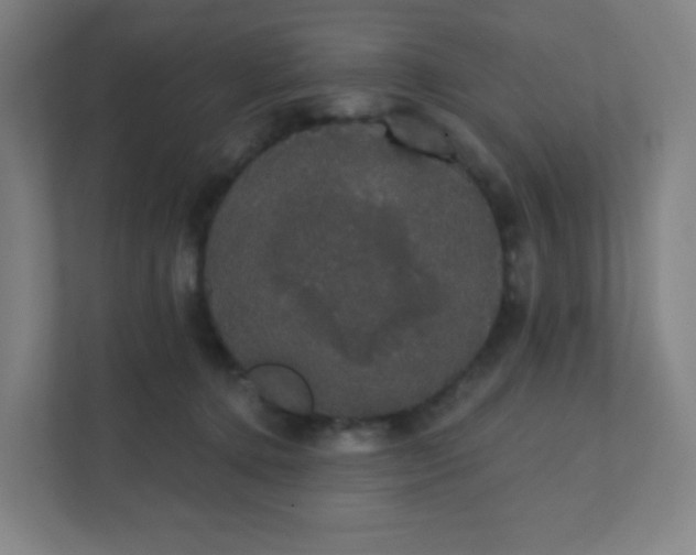 X0000111440368200907201133