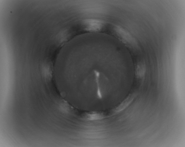 X0000111440370200907201133