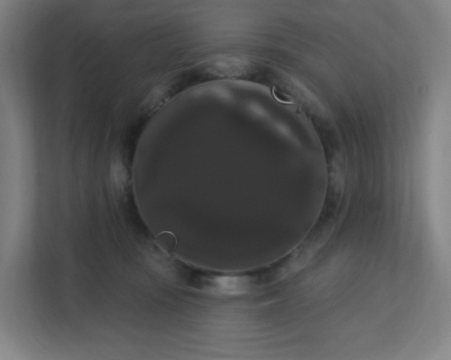 X0000111440371200907201133