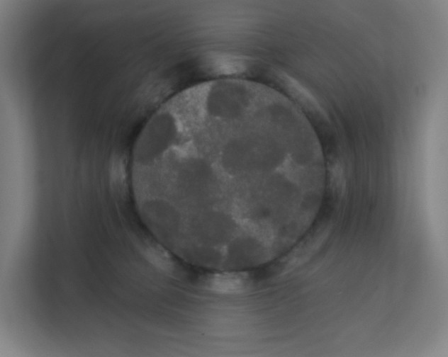 X0000111440373200907201133