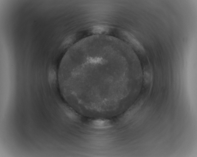 X0000111440375200907201133