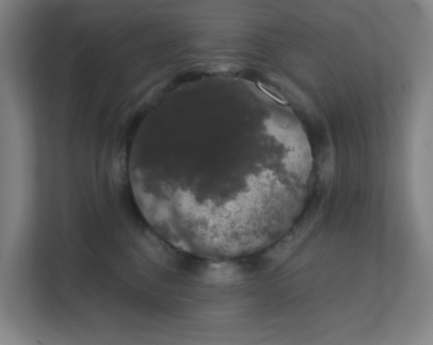 X0000111440376200907201133