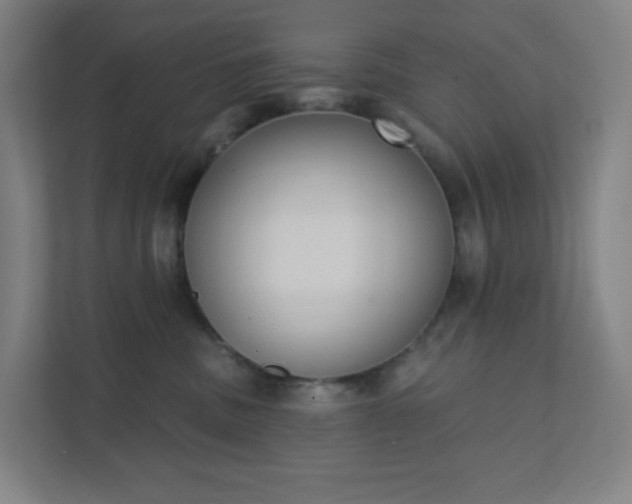 X0000111440379200907201133