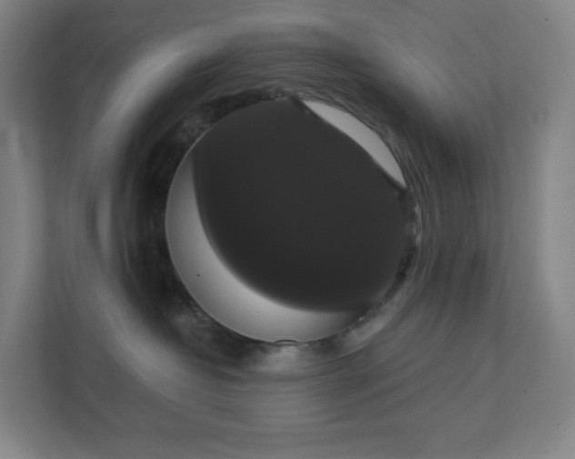 X0000111440382200907201133