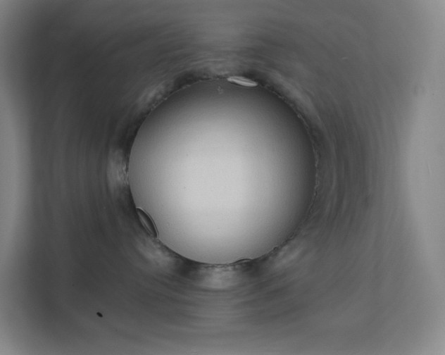 X0000111440384200907201134