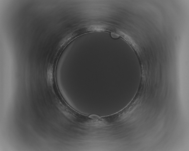 X0000111440386200907201133