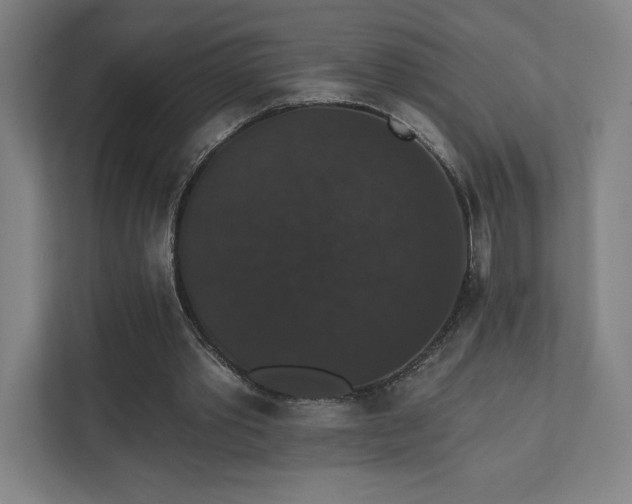 X0000111440389200907201133