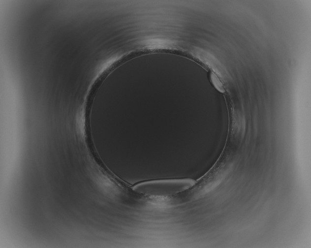 X0000111440391200907201133